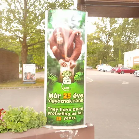 Viktória Homestay szállás