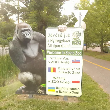 Viktória Nyíregyháza